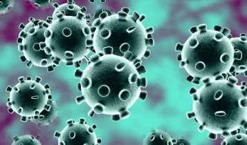 Death of a woman infected with the Delta Pulse variant