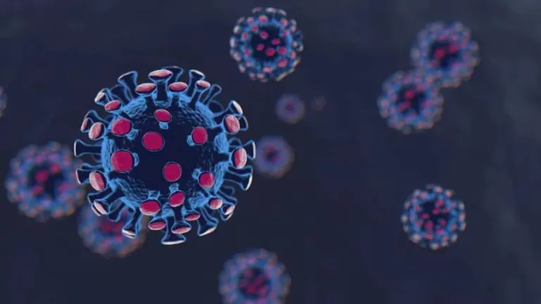 Delta plus variant in maharashtra 65 patients