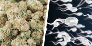 side Effects of cannabis 1