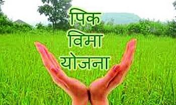Crop insurance amount accrued; Receipt of Rs 65