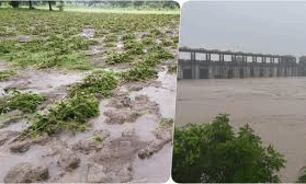 राज्यात अतिवृष्टीमुळे १४ लाख हेक्टर शेती बाधित