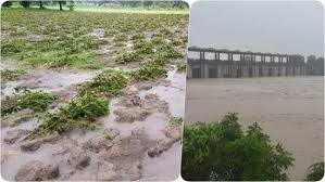 राज्यात अतिवृष्टीमुळे १४ लाख हेक्टर शेती बाधित