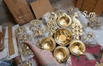 makar sankranti van