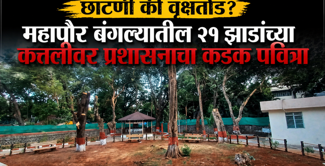 mayor bungalow tree cutting pune action on officials