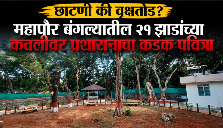 mayor bungalow tree cutting pune action on officials